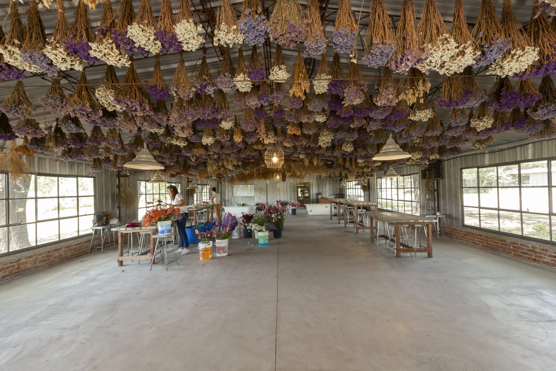 Una idea innovadora que nace en medio de un campo de flores